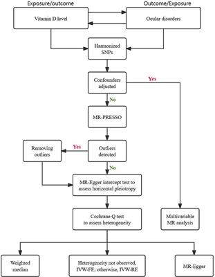 Vitamin D levels and risk of ocular disorders: insights from bidirectional and multivariable Mendelian randomization analysis